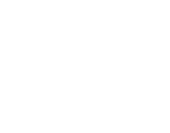 Organisation-weiss